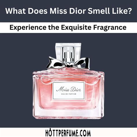 perfume miss dior primor|what does miss dior perfume smell like.